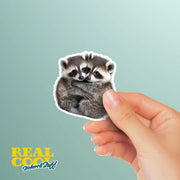 Hugging Racoons Sticker | Cute Racoons Decal for Laptop, Water Bottle, & Planner - Adorable Racoons Gift for Any Occasion