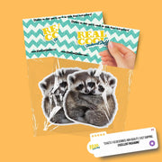 Hugging Racoons Sticker | Cute Racoons Decal for Laptop, Water Bottle, & Planner - Adorable Racoons Gift for Any Occasion