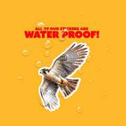 Falcon Sticker | Flying Falcon Decal | Cool Bird Art for Car, Laptop & Wall Decor | Nature Lover Gift Idea