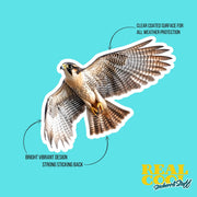 Falcon Sticker | Flying Falcon Decal | Cool Bird Art for Car, Laptop & Wall Decor | Nature Lover Gift Idea