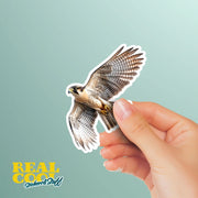 Falcon Sticker | Flying Falcon Decal | Cool Bird Art for Car, Laptop & Wall Decor | Nature Lover Gift Idea