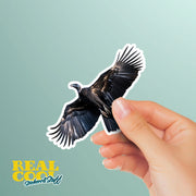 Vulture Sticker | Flying Vulture Decal for Cars, Laptops & Water Bottles | Unique Bird Art for Nature Lovers
