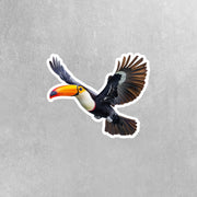 Toucan Sticker | Flying Toucan Decal for Cars, Laptops & Water Bottles | Unique Bird Art for Nature Lovers