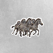 Zebra Sticker | Herd Of Zebras Decal for Car, Laptop & Wall | Wildlife Lovers Decor