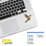 Hummingbird Sticker | Hummingbird Decal | Bird Lover Gift