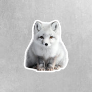 Arctic Fox Sticker | White Fox Sticker | Fox Decal