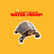 Box Turtle Sticker | Box Turtle Decal | Turtle Sticker