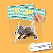 Box Turtle Sticker | Box Turtle Decal | Turtle Sticker