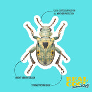 Vibrant Weevil Sticker - Waterproof, Weatherproof Vinyl Bug Sticker for Laptop, Water Bottle, Car, Nature Lovers