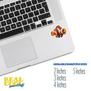 Clown Fish Sticker | Colorful Clown Fish Decal for Water Bottles, Laptops & More - Cute Marine Life Decor