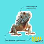 Iguana Sticker | Colorful Iguana Decal for Laptops, Water Bottles & More | Unique Animal Art Decor