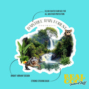 Daintree Rainforest Sticker | Australia Sticker | Australia National Park Sticker