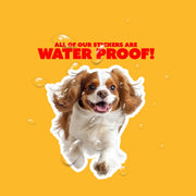 Running Cavalier King Charles - Vinyl Dog Decal, Cute Cavalier King Charles Decal, Pet Lover Gift, Car Laptop Sticker, Dog Owner Accessory