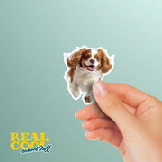 Running Cavalier King Charles - Vinyl Dog Decal, Cute Cavalier King Charles Decal, Pet Lover Gift, Car Laptop Sticker, Dog Owner Accessory