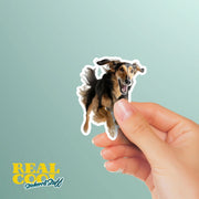 Running Afgan Hound - Vinyl Dog Decal, Cute Afgan Hound Decal, Pet Lover Gift, Car Laptop Sticker, Dog Owner Accessory