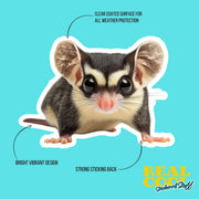 Sugar Glider Sticker | Cute Sugar Glider Decal for Animal Lovers & Nature Enthusiasts | Gift for Glider Fans Collectors