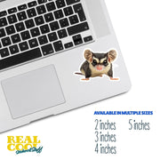 Sugar Glider Sticker | Cute Sugar Glider Decal for Animal Lovers & Nature Enthusiasts | Gift for Glider Fans Collectors