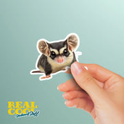 Sugar Glider Sticker | Cute Sugar Glider Decal for Animal Lovers & Nature Enthusiasts | Gift for Glider Fans Collectors