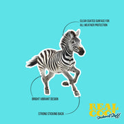 Zebra Sticker | Zebra Decal for Car, Laptop & Wall | Wildlife Lovers Decor