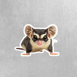 Sugar Glider Sticker | Cute Sugar Glider Decal for Animal Lovers & Nature Enthusiasts | Gift for Glider Fans Collectors