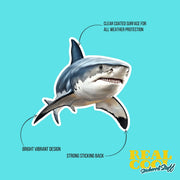 Bull Shark Sticker | Bull Shark Decal | Shark Sticker