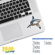 Bull Shark Sticker | Bull Shark Decal | Shark Sticker