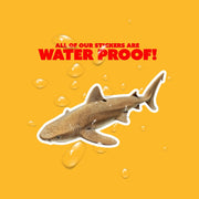 Nurse Shark Sticker | Nurse Shark Decal | Shark Sticker