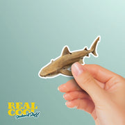 Nurse Shark Sticker | Nurse Shark Decal | Shark Sticker