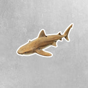 Nurse Shark Sticker | Nurse Shark Decal | Shark Sticker