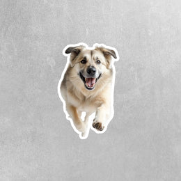 Anatolian Shepherd Running Sticker - Durable Waterproof Vinyl Decal for Cars, Laptops & Water Bottles, Dog Lover Gift