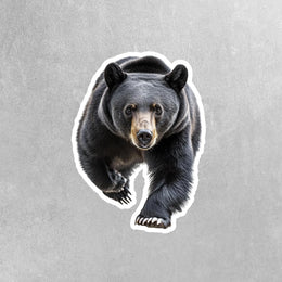 Running Black Bear Sticker | Black Bear | Run Bear Sticker