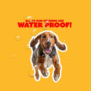 American English Coon Dog Running Sticker | American English Coon Sticker