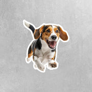American Fox Hound Sticker | Running Fox Hound Sticker
