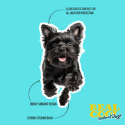 Affenpinscher Sticker | Running Affenpinscher Sticker
