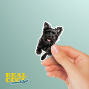 Affenpinscher Sticker | Running Affenpinscher Sticker