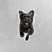 Affenpinscher Sticker | Running Affenpinscher Sticker