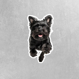 Affenpinscher Sticker | Running Affenpinscher Sticker