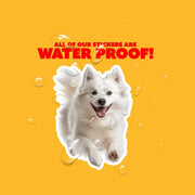 American Eskimo Sticker | Running American Eskimo Sticker