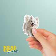 American Eskimo Sticker | Running American Eskimo Sticker