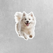 American Eskimo Sticker | Running American Eskimo Sticker