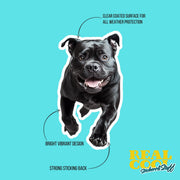 American Bulldog Sticker | Running American Bulldog Sticker