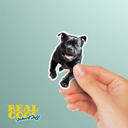 American Bulldog Sticker | Running American Bulldog Sticker