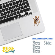 American Bulldog Sticker | Running American Bulldog Sticker | Brown Bulldog Sticker