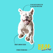 American Bulldog Sticker | Running American Bulldog Sticker | White Bulldog Sticker