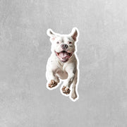American Bulldog Sticker | Running American Bulldog Sticker | White Bulldog Sticker