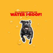 Cane Corso Sticker | Running Cane Corso Sticker