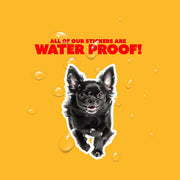 Black Chihuahua Sticker | Cute Chihuahua Decal for Dog Lovers | Waterproof Pet Vinyl Sticker | Gift for Dog Owners & Animal Enthusiasts