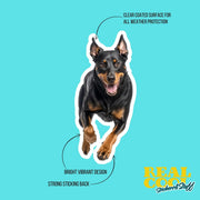 Beauceron Sticker | Running Beauceron Dog Sticker