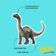 Brontosaurus Sticker | Dinosaur Water Bottle Sticker | Brontosaurus Decal