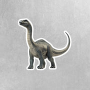 Brontosaurus Sticker | Dinosaur Water Bottle Sticker | Brontosaurus Decal